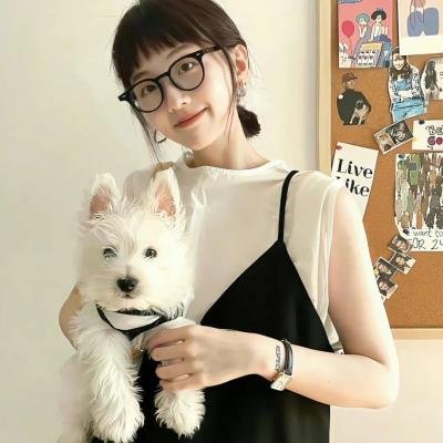 我的女官大人 海报
